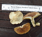 IMG_9709