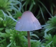 IMG_0102