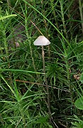 IMG_0104