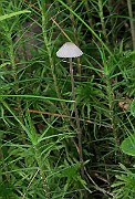 IMG_0105