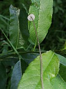 IMG_0108