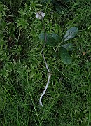 IMG_0109