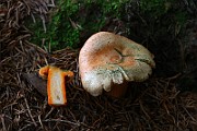 IMG_9159