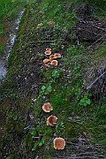 IMG_0894
