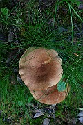 IMG_0898