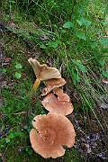 IMG_0904