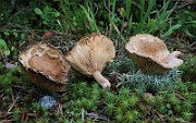 IMG_1573