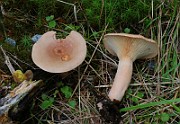 IMG_6049
