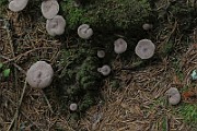 IMG_0020