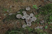IMG_0022