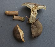 IMG_0070