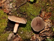 IMG_0904