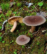 IMG_0910(0906_2020)
