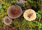 IMG_0911(0908_2020)
