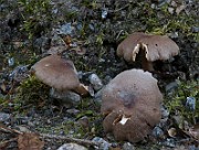 IMG_1449