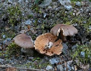 IMG_1450