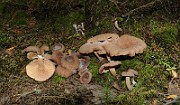 IMG_1559
