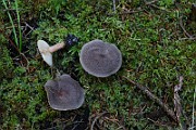 IMG_9315