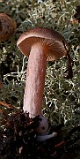 IMG_0292