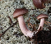 IMG_0294