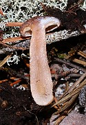 IMG_0297