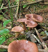 IMG_0012