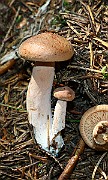 IMG_0339