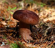 IMG_0343