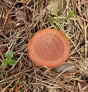 IMG_0516