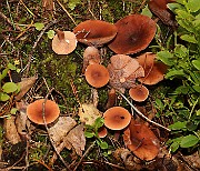 IMG_0895