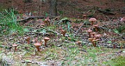 IMG_1041