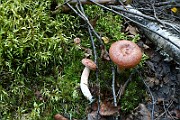 IMG_1054