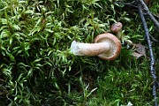 IMG_1055