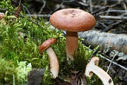 IMG_1057