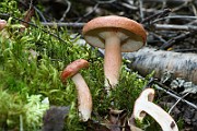 IMG_1058