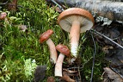 IMG_1059
