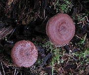 IMG_2573