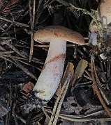 IMG_7606