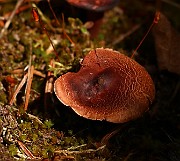 IMG_0273