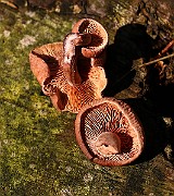 IMG_0276