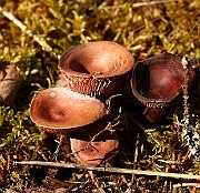 IMG_0279