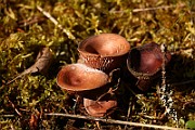 IMG_0280