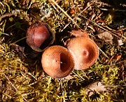 IMG_0282