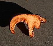 IMG_0311
