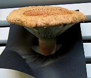 IMG_0021