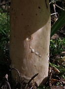IMG_0094