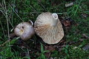 IMG_1082