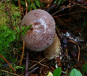 IMG_3848