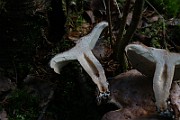 IMG_9292