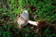 IMG_9298